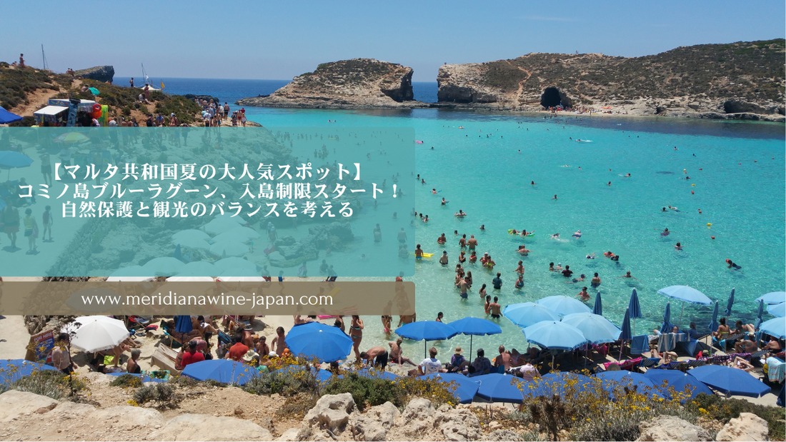 マルタワイン通販