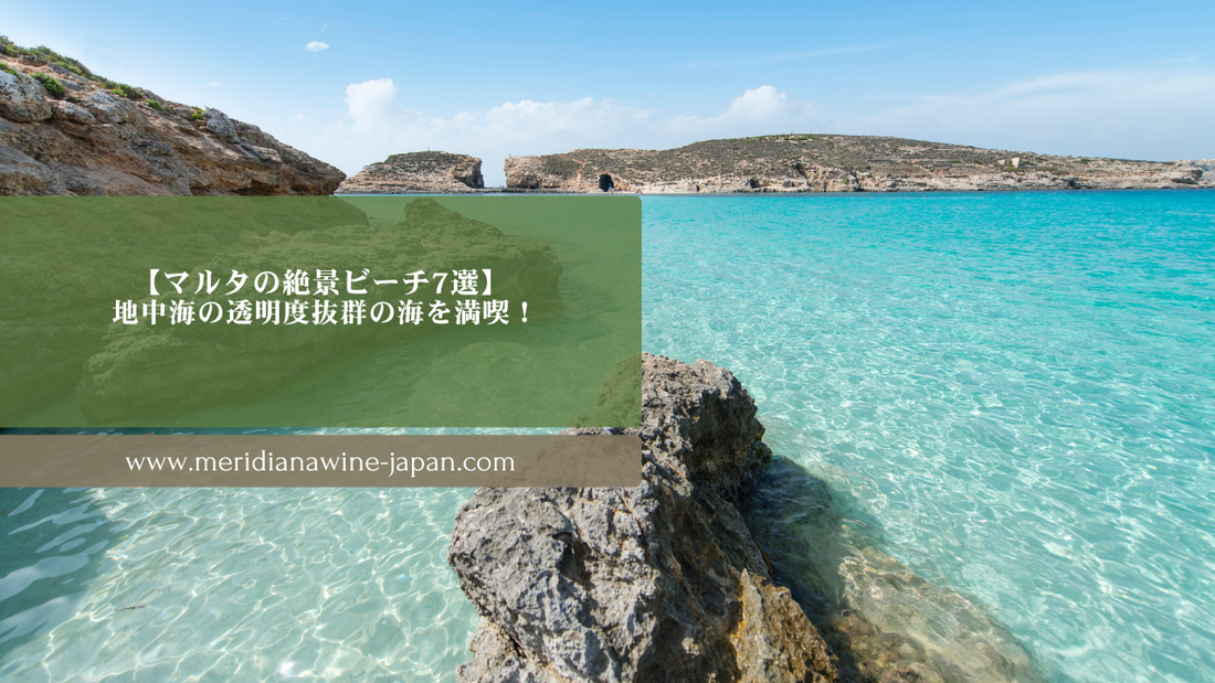 マルタワイン 地中海ワイン マルタ観光 マルタ留学